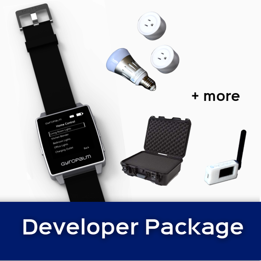 GyroPalm Developer Package (DK2)