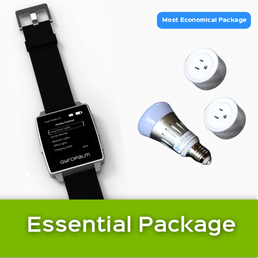 GyroPalm Essential Package