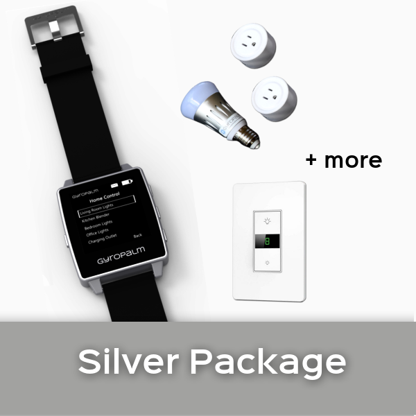 GyroPalm Silver Package